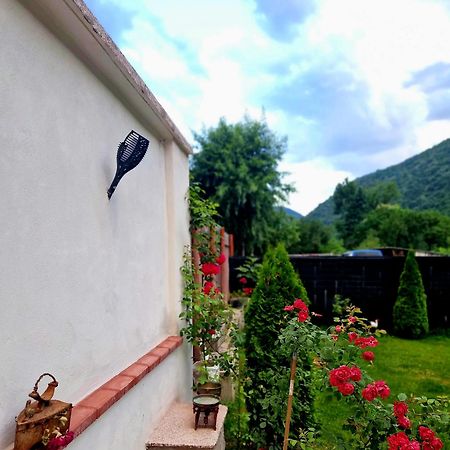 Hotel Renate House à Băile Herculane Extérieur photo