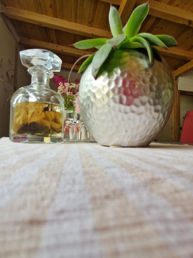 Hotel Renate House à Băile Herculane Extérieur photo