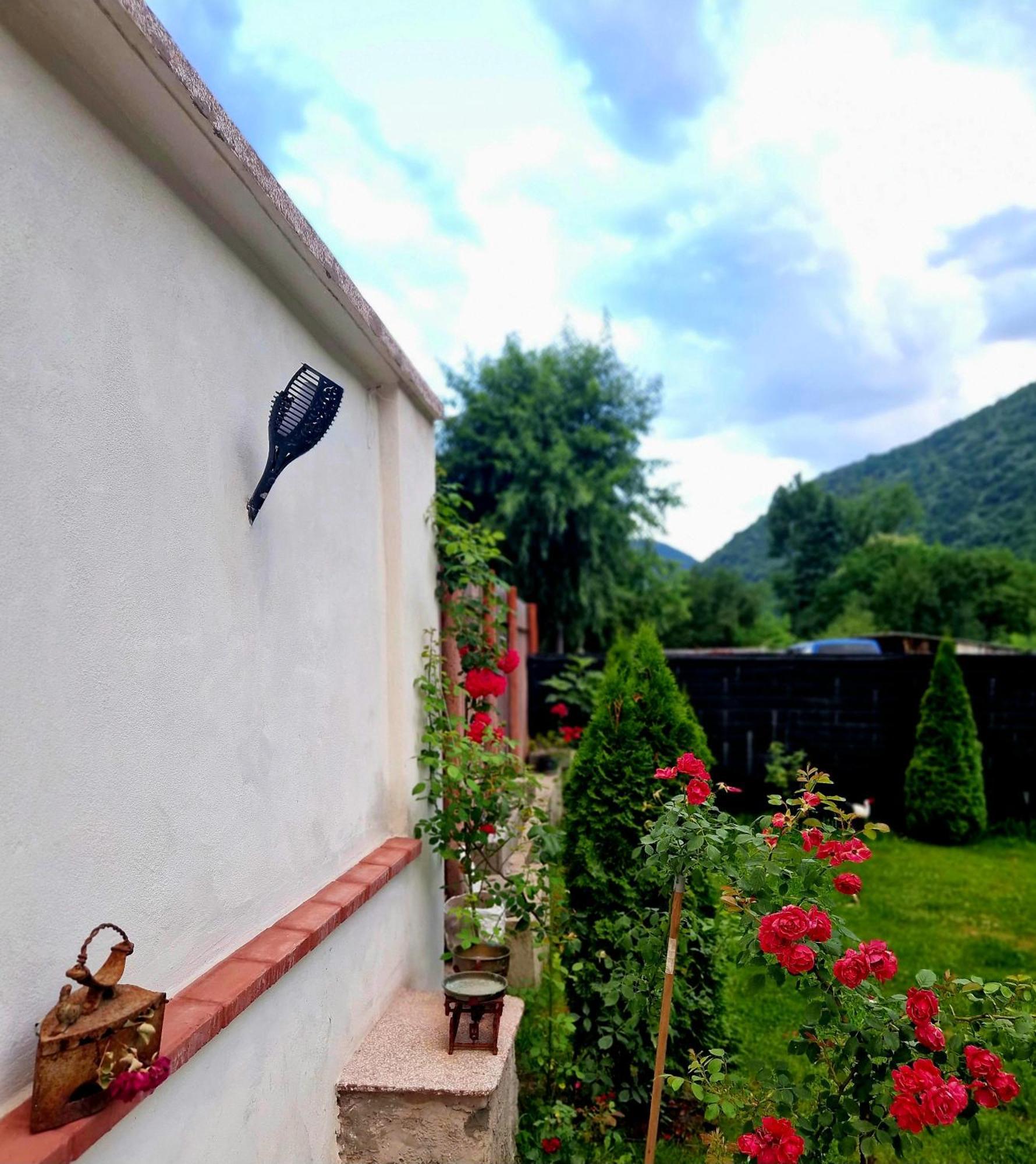 Hotel Renate House à Băile Herculane Extérieur photo